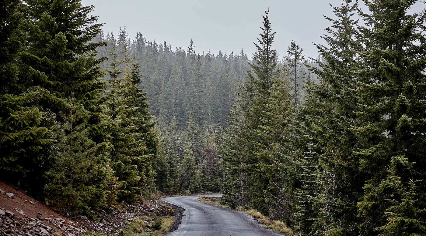 Reckoning: Maximum Heart Rate