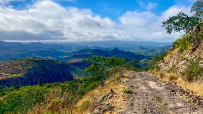 Allan Shaw's Baja Divide Outfit