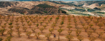 Recycled & Natural Fiber: A Better Way