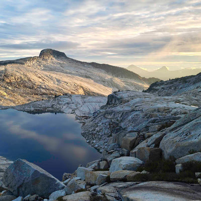 left promotion image