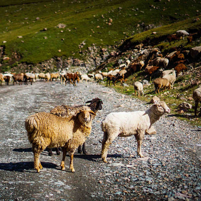 left promotion image