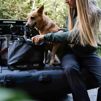 right promotion image