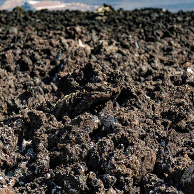 right promotion image