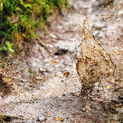 left promotion image